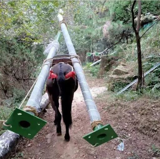 东营骡马运输队